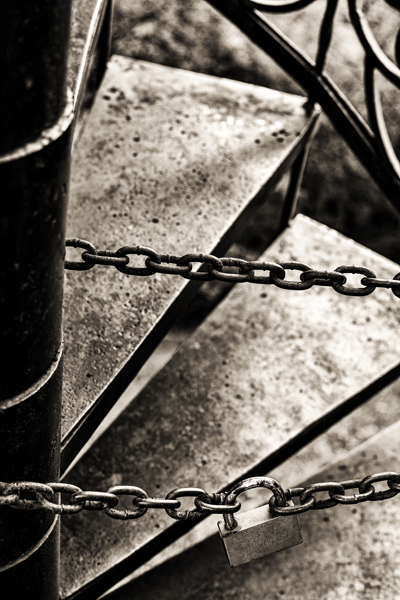 სოფელი, სადაც სახლში ძაღლების მაგივრად წეროები ჰყავთ Rating